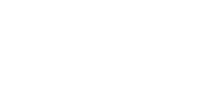 Savoir Fer